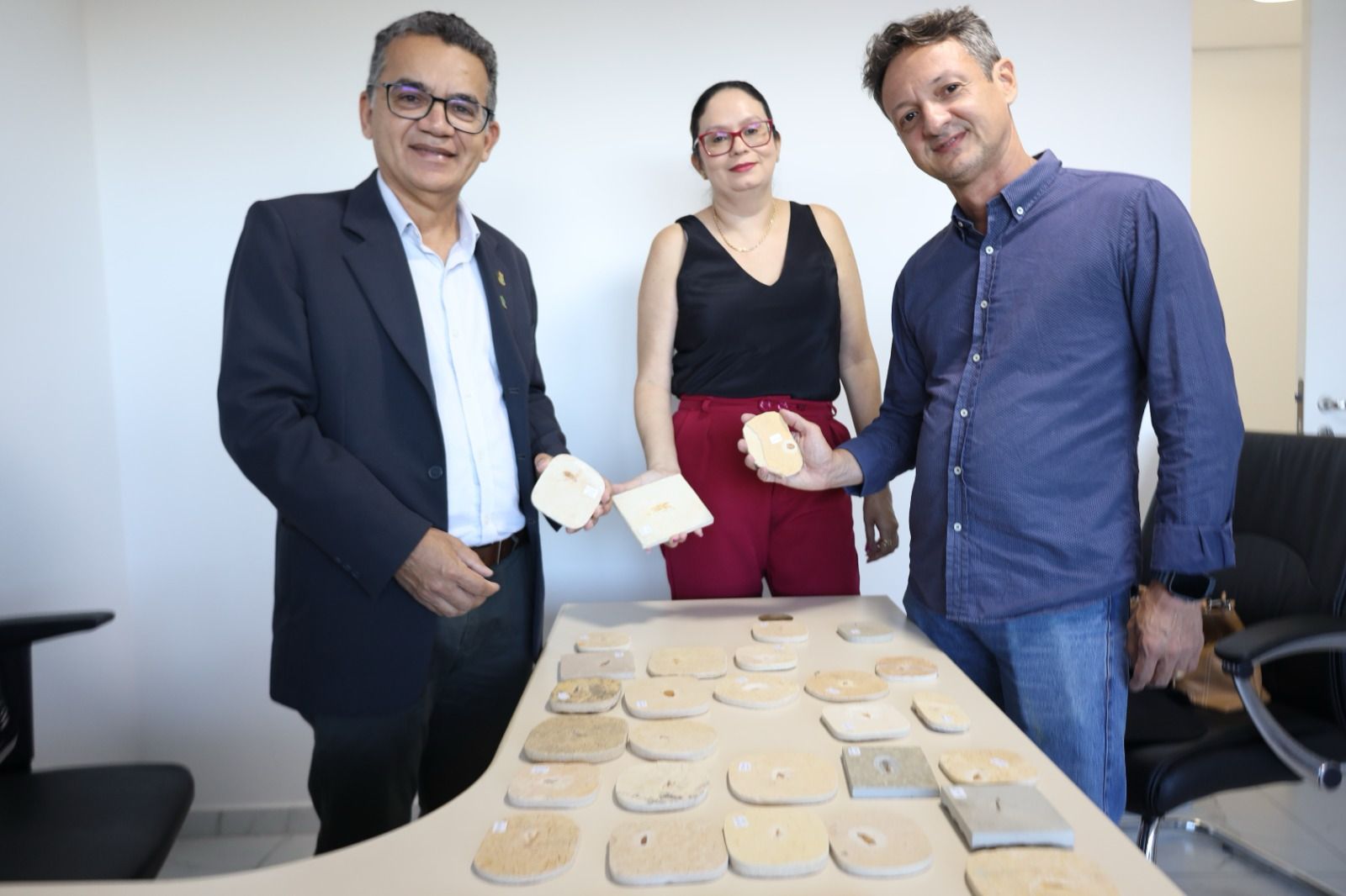 Museu de Paleontologia da URCA recebe 25 fósseis raros de insetos repatriados do Reino Unido
