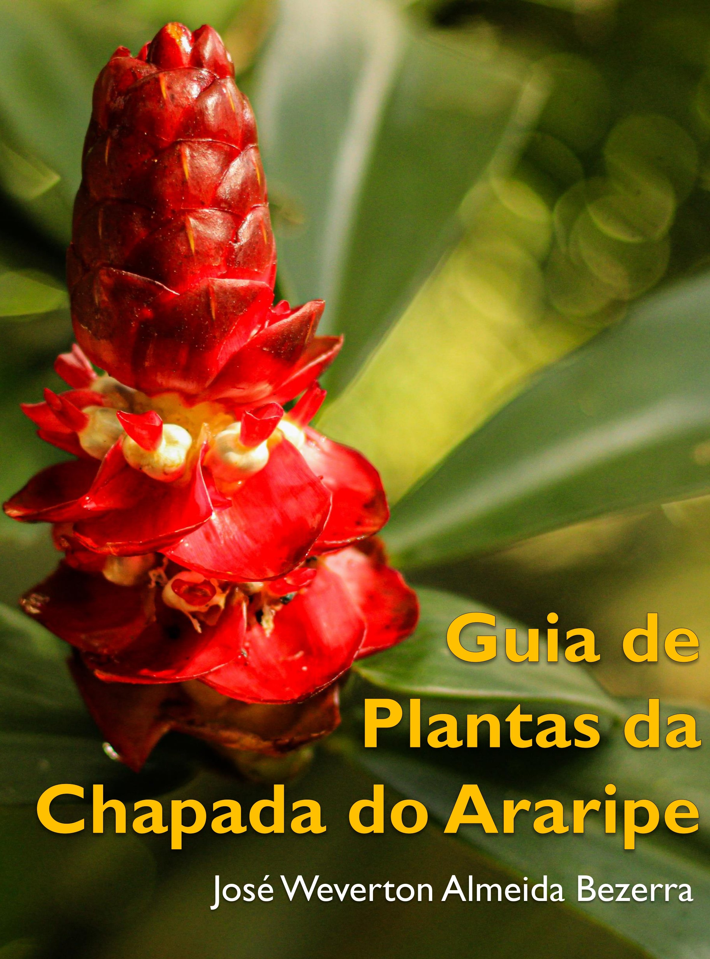 Livro sobre a Flora da Chapada do Araripe será lançado por pesquisador da URCA