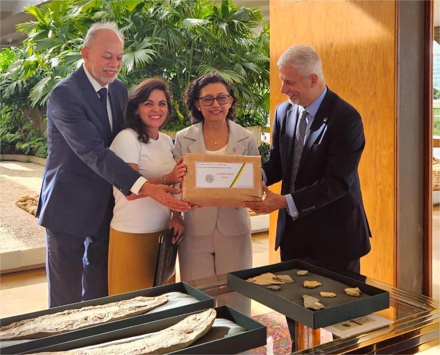 Cerimônia em Brasília restitui fósseis da Itália e Argentina para o Museu de Paleontologia da URCA