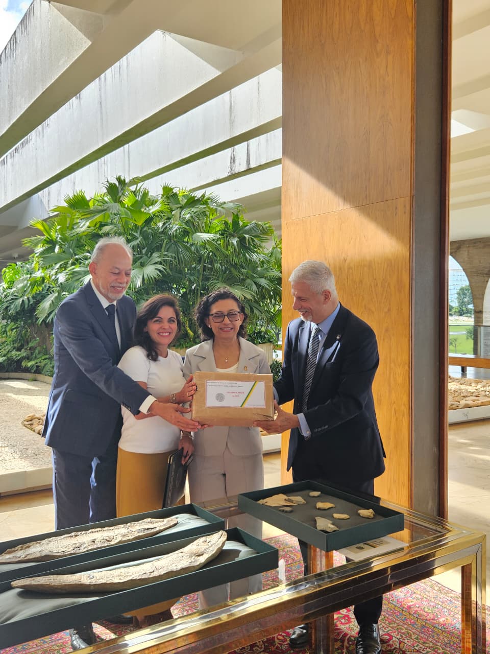 Cerimônia em Brasília restitui fósseis da Itália e Argentina para o Museu de Paleontologia da URCA
