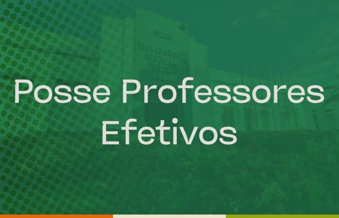 Posse Professores Efetivos
